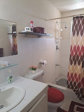 Shower, towels, soap, toilet paper