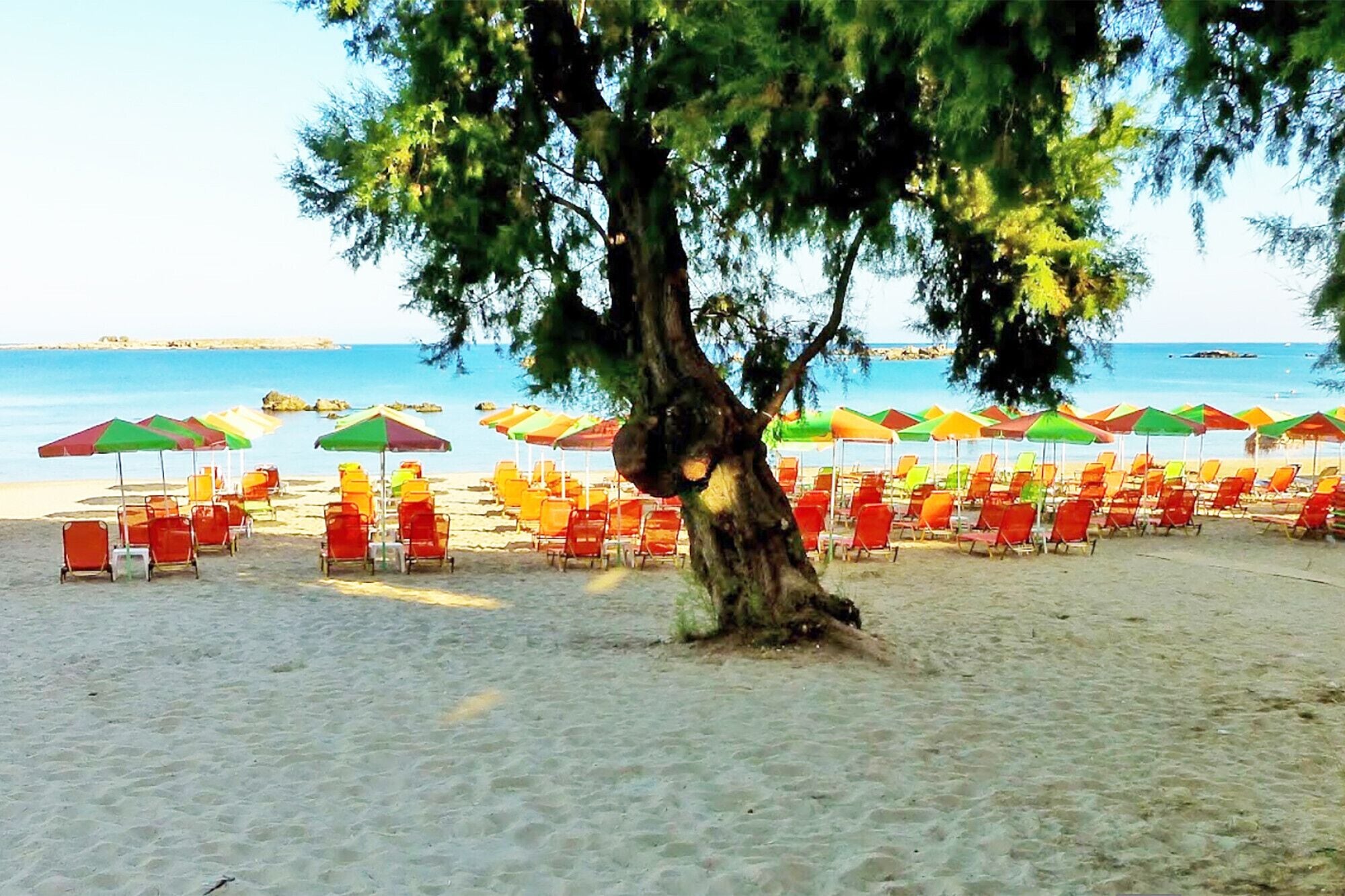 A beach with rows of red and yellow beach chairs under colorful umbrellas, a large tree in the center, and the sea in the background.