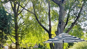 An outdoor deck with a hot tub, a grill, and a dining area with chairs and an umbrella. - Beautiful home with large yard (Canton)