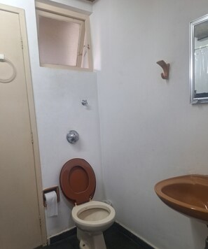 Chuveiro, papel higiênico
