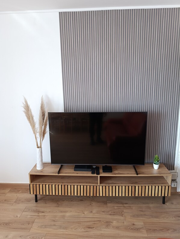 A flat-screen TV on a wooden TV stand with a remote and a small plant. - 3-bedroom apartment in Sedan, 5 minutes from Europe's largest fortified castle. (Sedan)