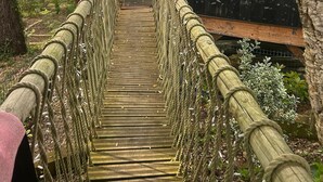 A wooden suspension bridge leading to a rustic wooden structure labeled 'The Treehouse.'