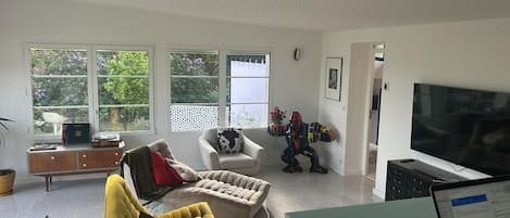 Smart TV, fireplace, video games