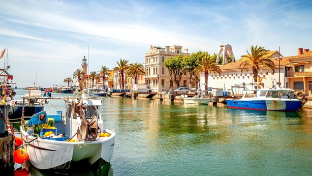 A marina with boats docked, a prominent building with a tower, and palm trees lining the waterfront. - Air-conditioned villa with swimming pool between the sea and the Cevennes mountains. (La Calmette)