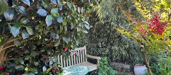 Maison de Charme à Loguivy de la Mer - Garden and Terrace À Deux Pas des Plages