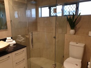A modern bathroom with a glass-enclosed shower, a white toilet, and a sink with a large bowl. - Maroochy Sands (Sunshine Coast)