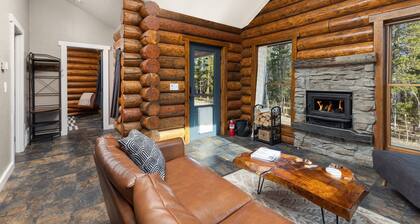 Cozy mountain cabin 1 hour from Denver backs up to National Forest EV CHARGING!