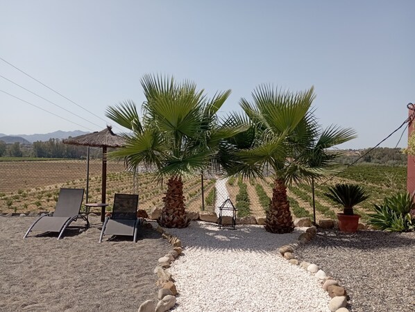 Property grounds - Home Benitez Slate (Pizarra)