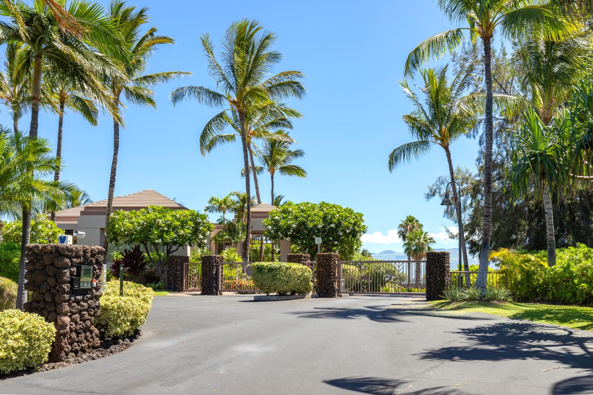 A paved driveway leading to a gated entrance with palm trees and a view of the ocean.
