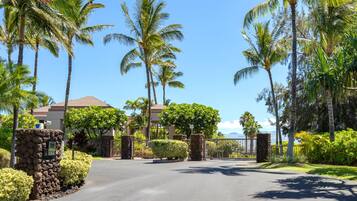 A paved driveway leading to a gated entrance with palm trees and a view of the ocean.