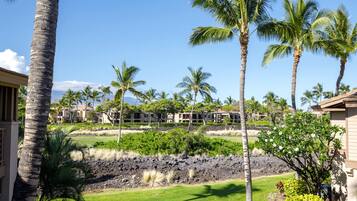 A resort with multiple-story buildings, palm trees, and a lava rock garden.