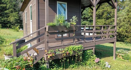 Charming cabin with AC near Decatur