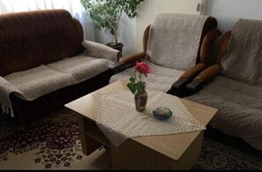 Living area - Charming apartment in welcoming Struga with AC (Struga)