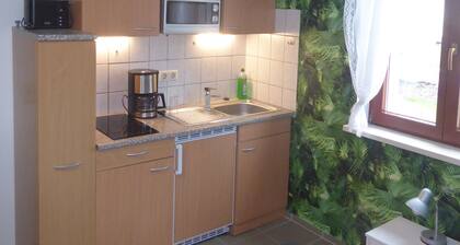 Holiday flat with nature, silence, forest, sports in the middle of Saxon history