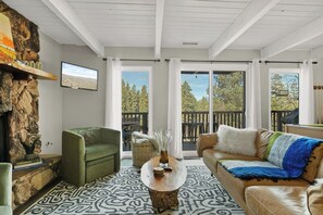 Télévision, cheminée, jeux vidéo