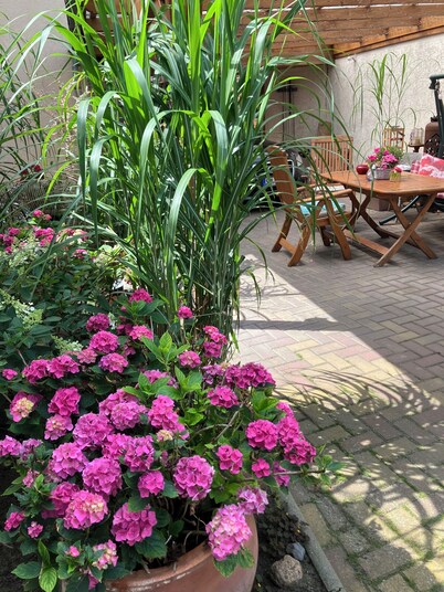 Vacation apartment in natural surroundings 