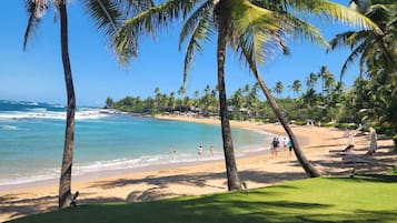 Playa en los alrededores, camastros y toallas de playa