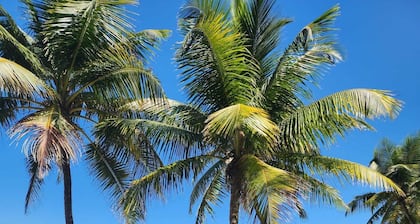 Dorado Beach & Golf Villa: 5 Bedrooms
