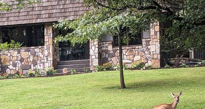 Charming 3-bedroom cottage with lake access, dock, WiFi at Boone Lake