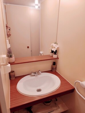 Shower, hair dryer, towels, toilet paper