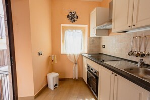 Fridge, oven, stovetop, cookware/dishes/utensils
