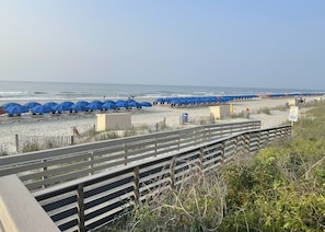 Serviettes de plage