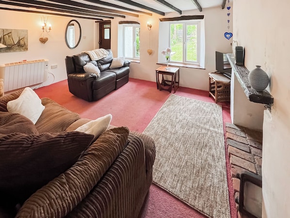 TV, fireplace - Rivers View - UK49662 (Braunton)
