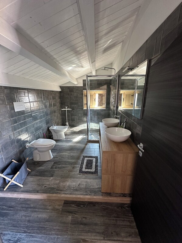 Shower, hair dryer, bidet, towels