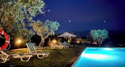 Raízes da Vinha - Boutique Mountain Stay in Serra da Estrela, Seia