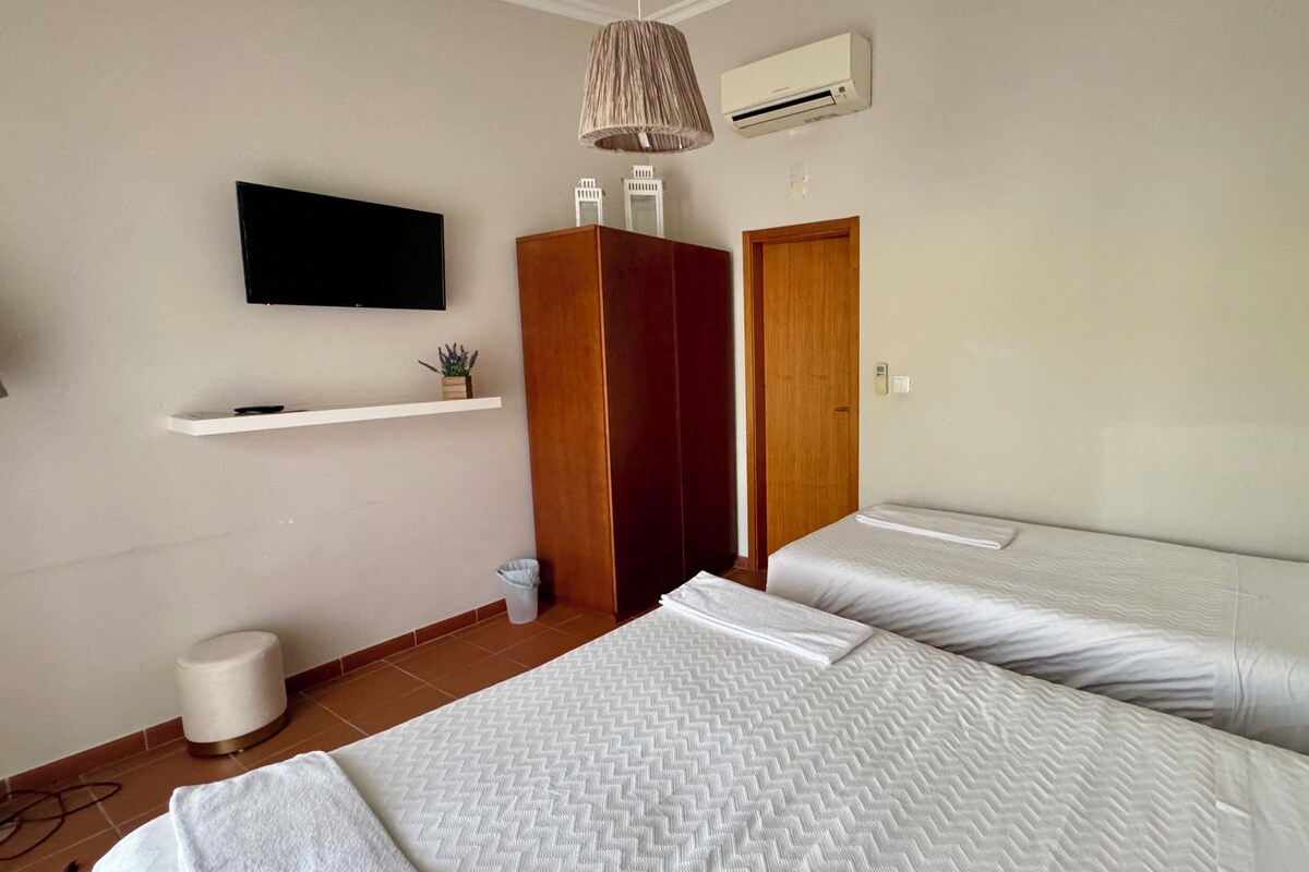 A bedroom with two beds, a TV, a shelf, a wardrobe, and an air conditioner.