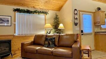 Smart TV, lareira, DVD player, livros