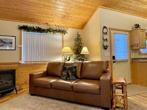 Smart TV, fireplace, DVD player, books