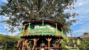 Exterior - Eco Hotel Green Eden, Cabañas en Pereira (Pereira)