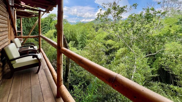 Un pontile in legno con due sedie e un tavolo, con vista su una rigogliosa foresta verde.