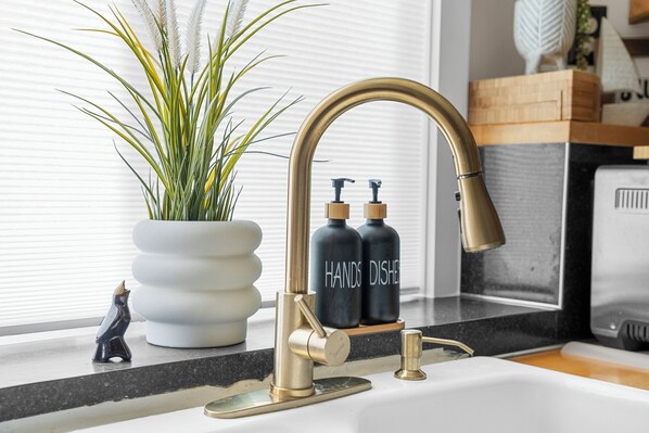 A kitchen with a gold faucet, a potted plant, and two soap dispensers labeled "HANDS DISHES".