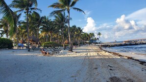 A beach with palm trees, lounge chairs, and a pier extending into the water.