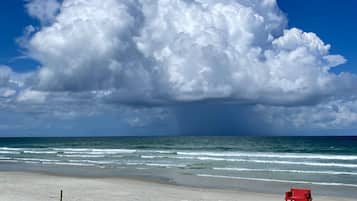 Playa en los alrededores, camastros y toallas de playa