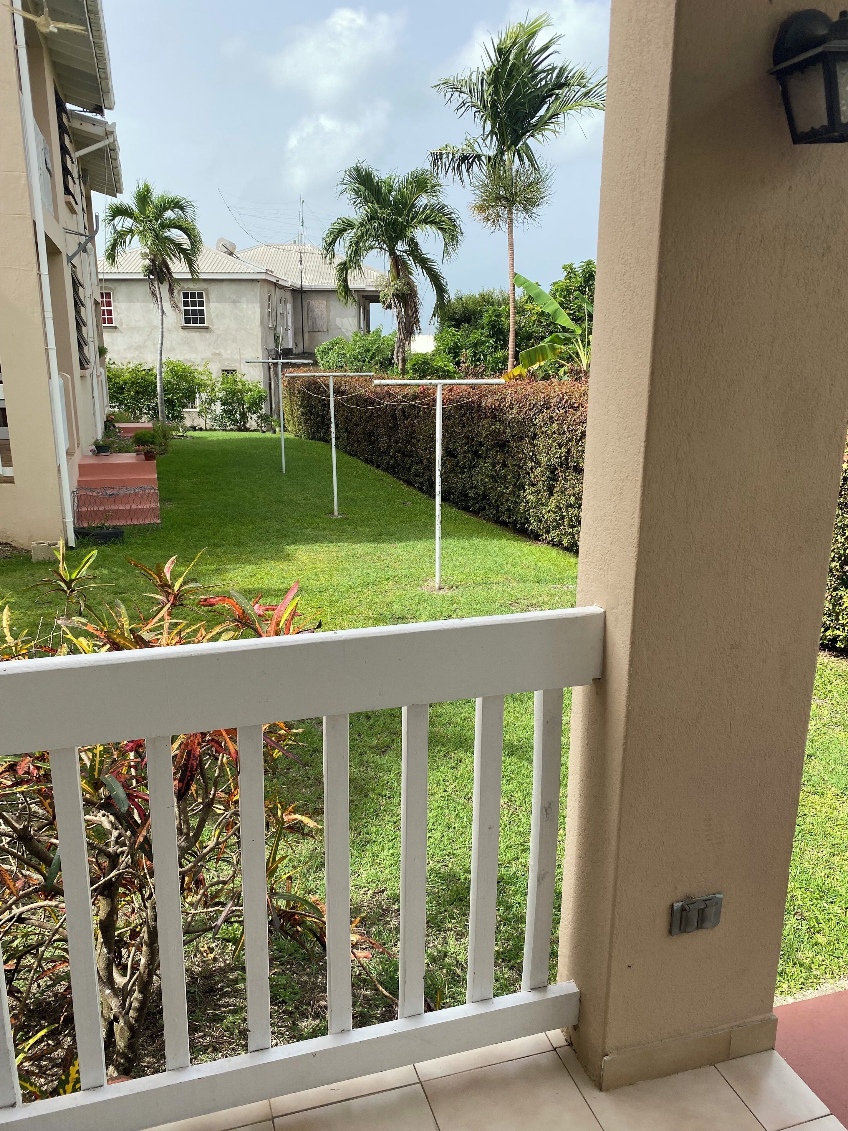 Vista de un jardín bien cuidado con cerca blanca, palmeras y seto.