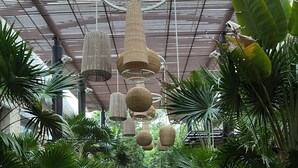 Un sendero de madera bordeado de plantas verdes exuberantes y barandillas de bambú, que conduce a un espacio cubierto con lámparas de mimbre colgantes.