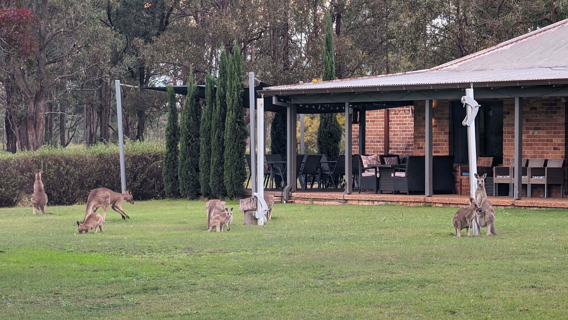 屋外ダイニングエリア