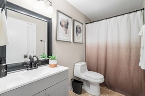 Chuveiro, secador de cabelo, toalhas de banho, sabonete