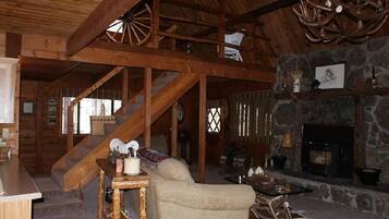 Televisor intel·ligent, llar de foc i llibres