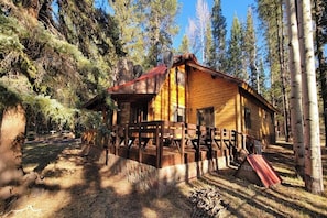 Exterior - Charming 3 bedroom cabin in the White Mountains, Tal Wi Wi/Alpine with WIFI (Alpine)