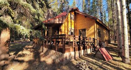 Charming 3 bedroom cabin in the White Mountains, Tal Wi Wi/Alpine with WIFI