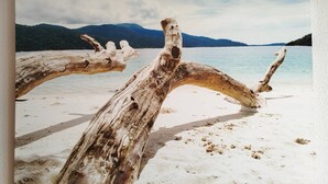A photograph of driftwood on a beach with mountains in the background.