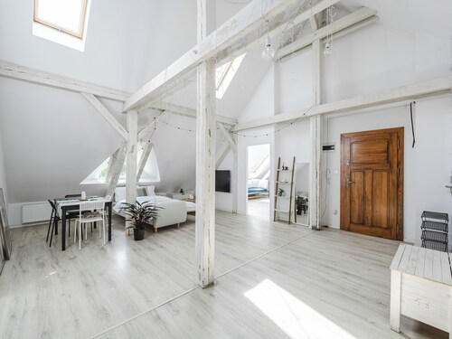 Scandinavian Loft Apartment