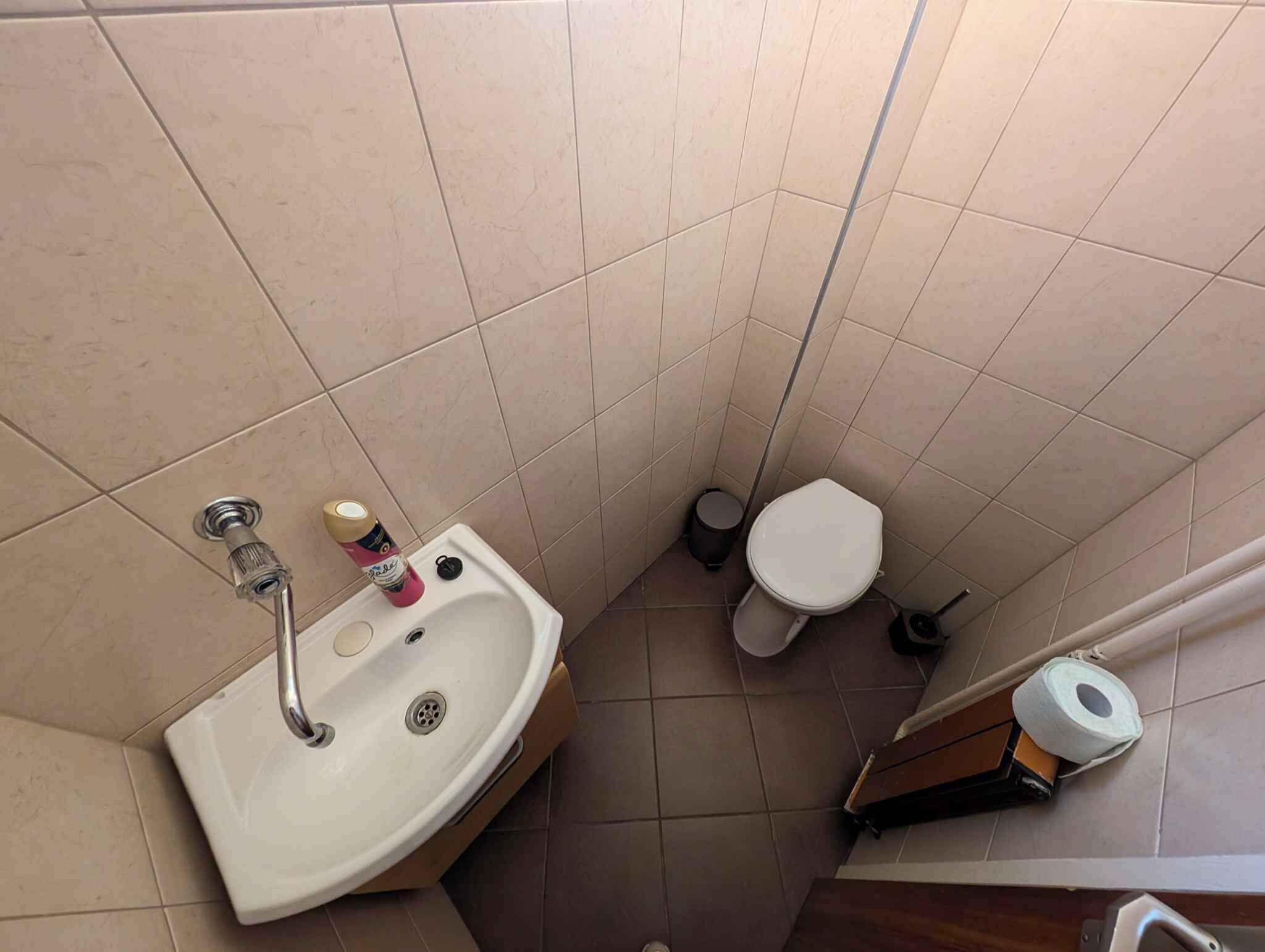 A small bathroom with a sink, toilet, and a showerhead.