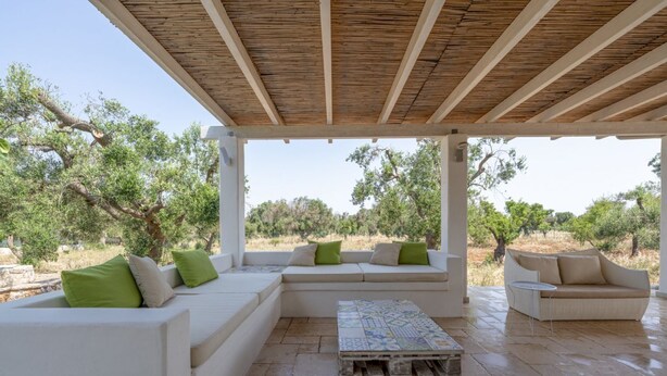 A covered outdoor seating area with white sofas and green cushions, a wooden table, and a view of olive trees.