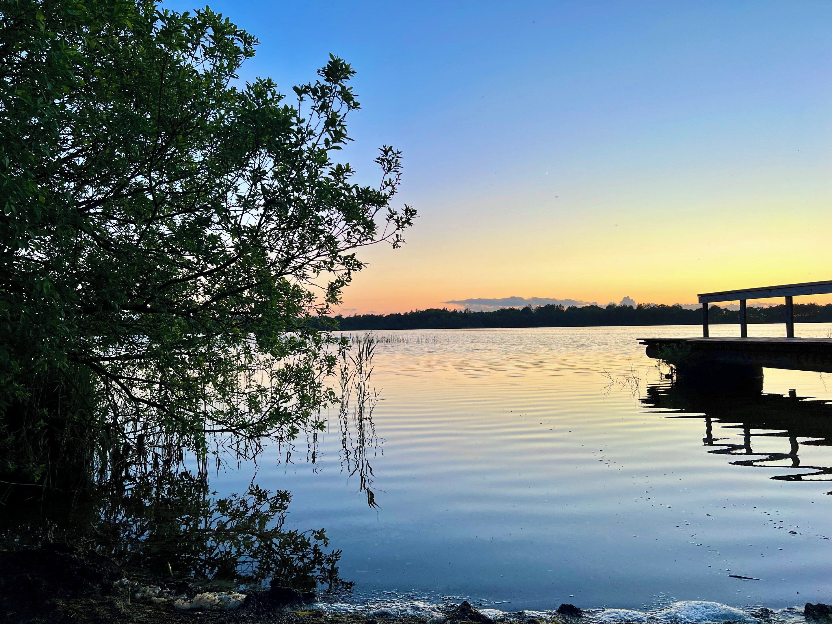Un lago tranquilo con un muelle de madera que se adentra en el agua, rodeado de vegetación densa.