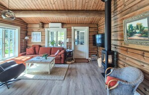 TV connectée, cheminée, lecteur de DVD